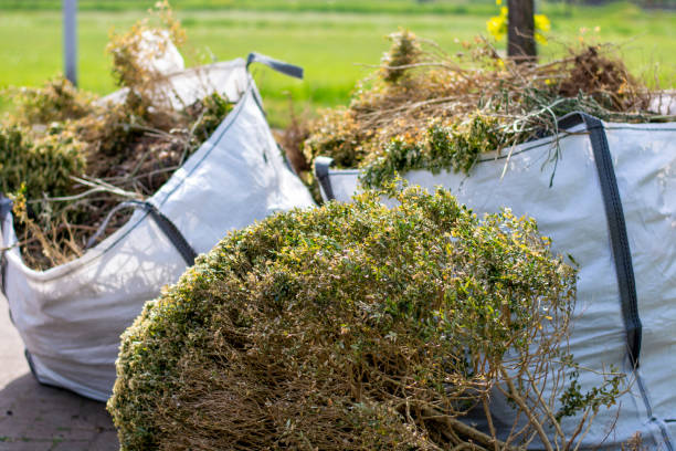 Best Trash Removal Near Me  in Farmington, NM